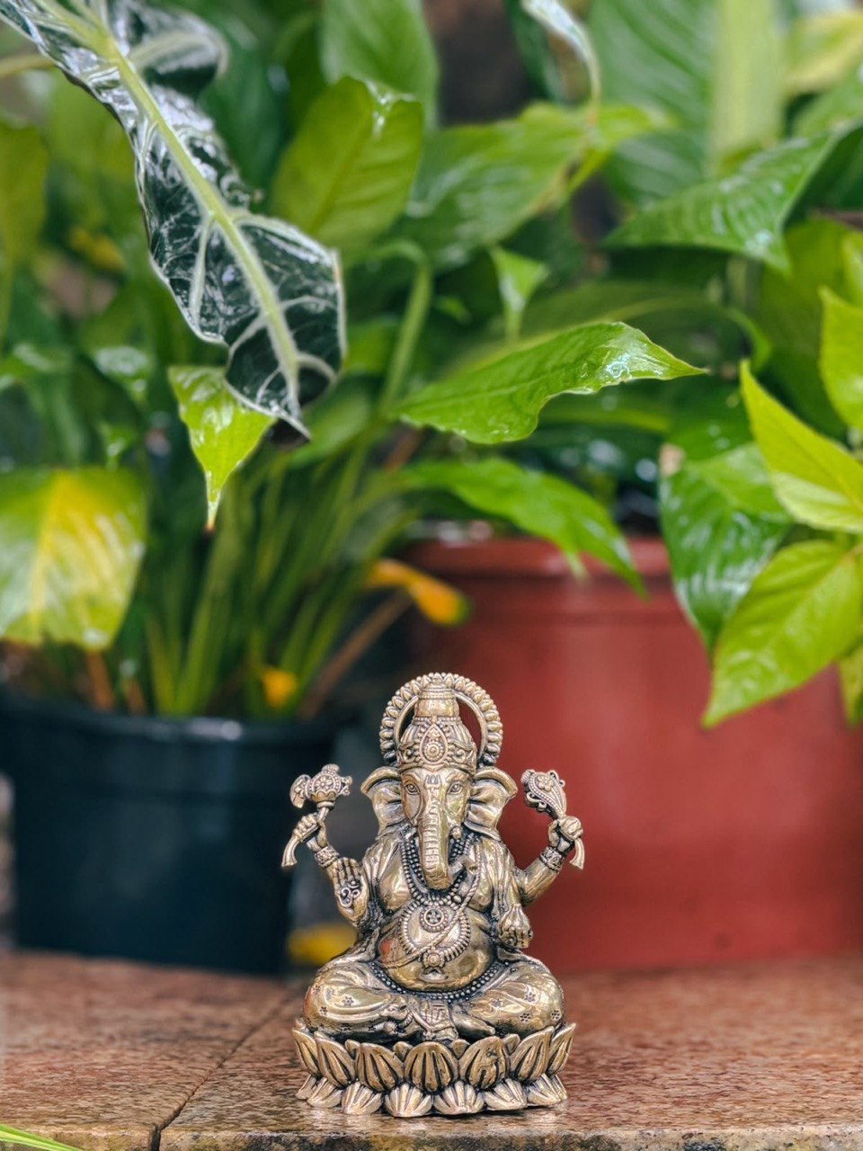 GANESH LIGHTWEIGHT IDOL ( L )