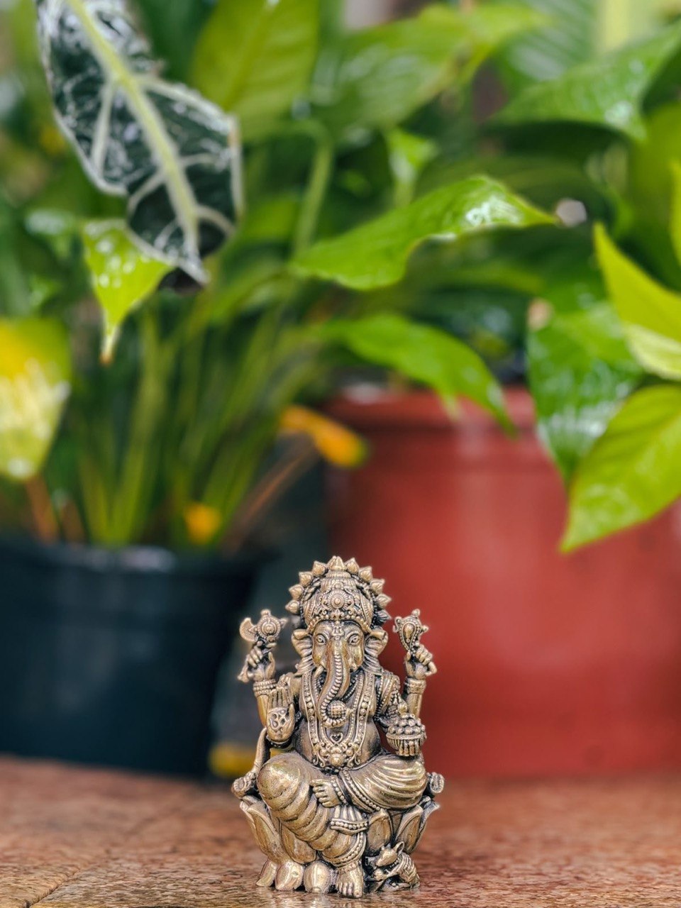 GANESH LIGHTWEIGHT IDOL ( M )