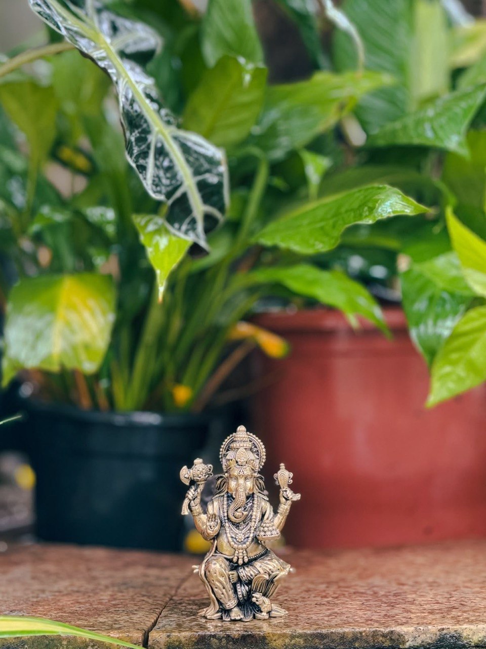 GANESH LIGHTWEIGHT IDOL ( S )